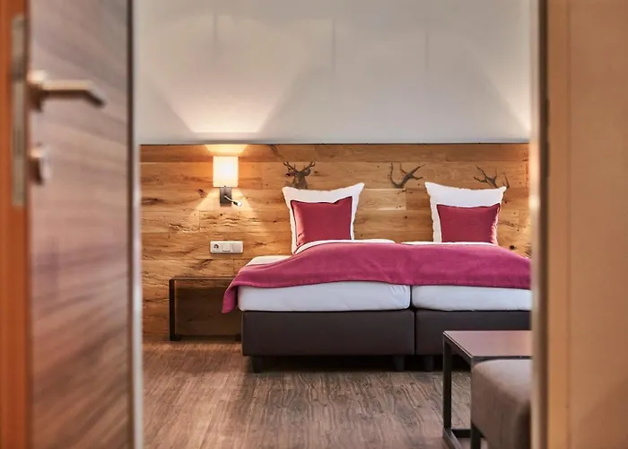 酒店 沙赫纳酒店