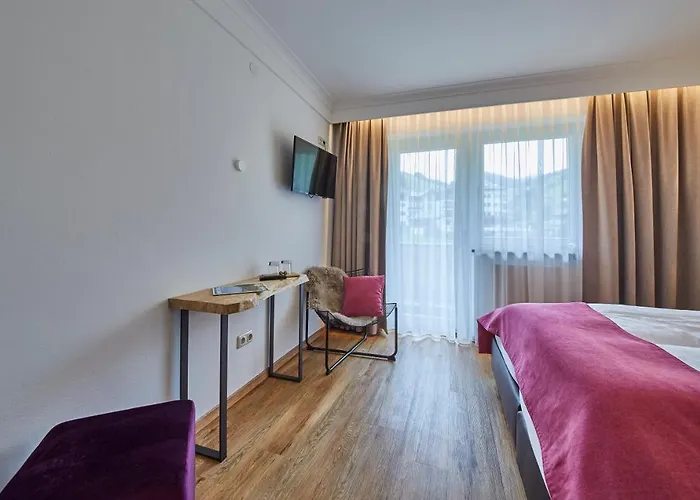 酒店 沙赫纳酒店 萨尔巴赫