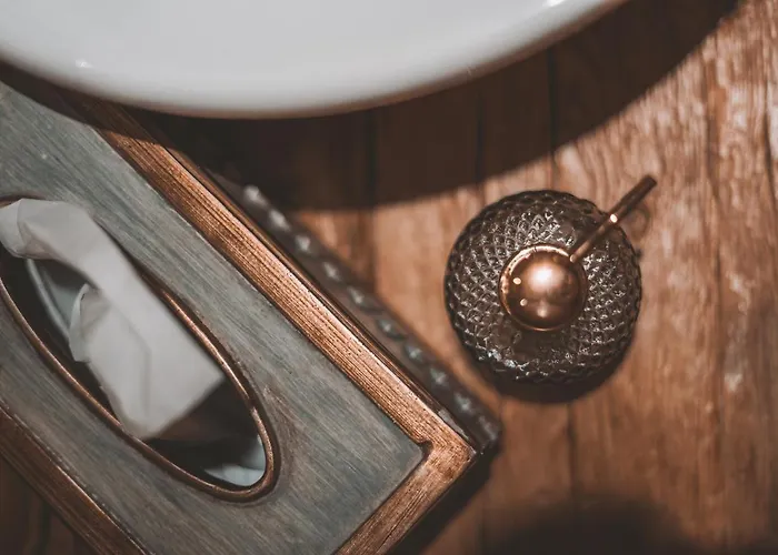 酒店 沙赫纳酒店 3*