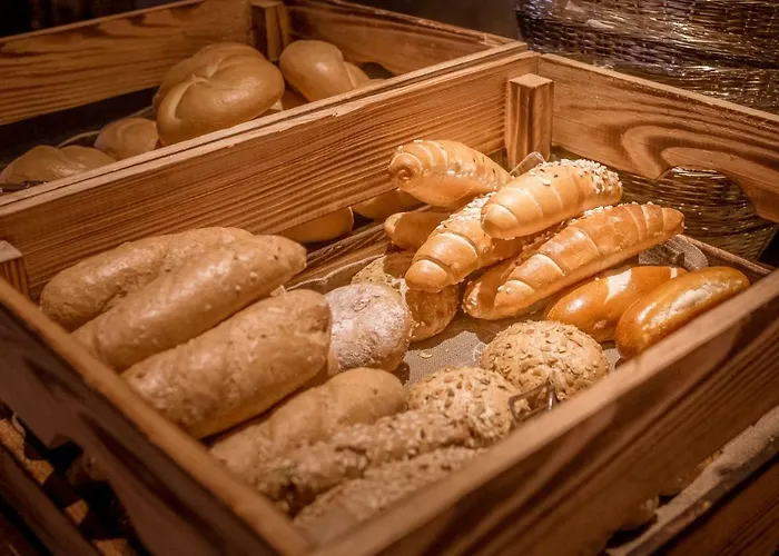 酒店 沙赫纳酒店 萨尔巴赫